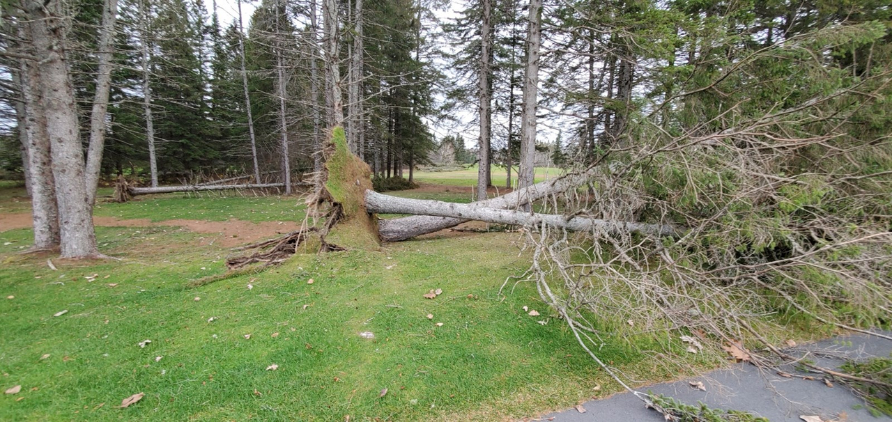 Photo-reportage : les dégâts au Club de golf Saint-Georges