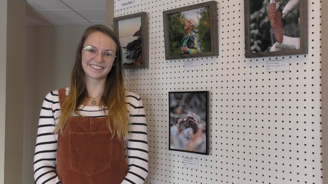 Normand DeLessard présente l'Expo art mixte