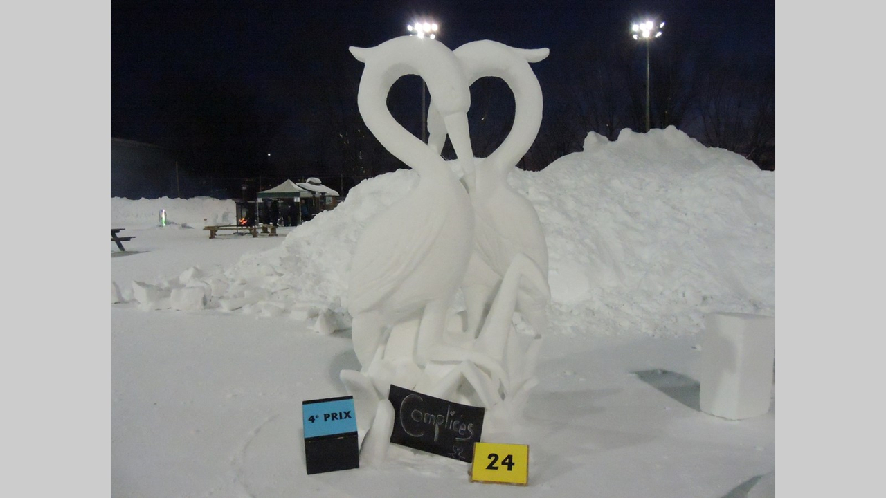 En 4e place, on retrouve la famille Marie-Pier Tanguay avec l'œuvre intitulée Les hérons (bloc no. 24).