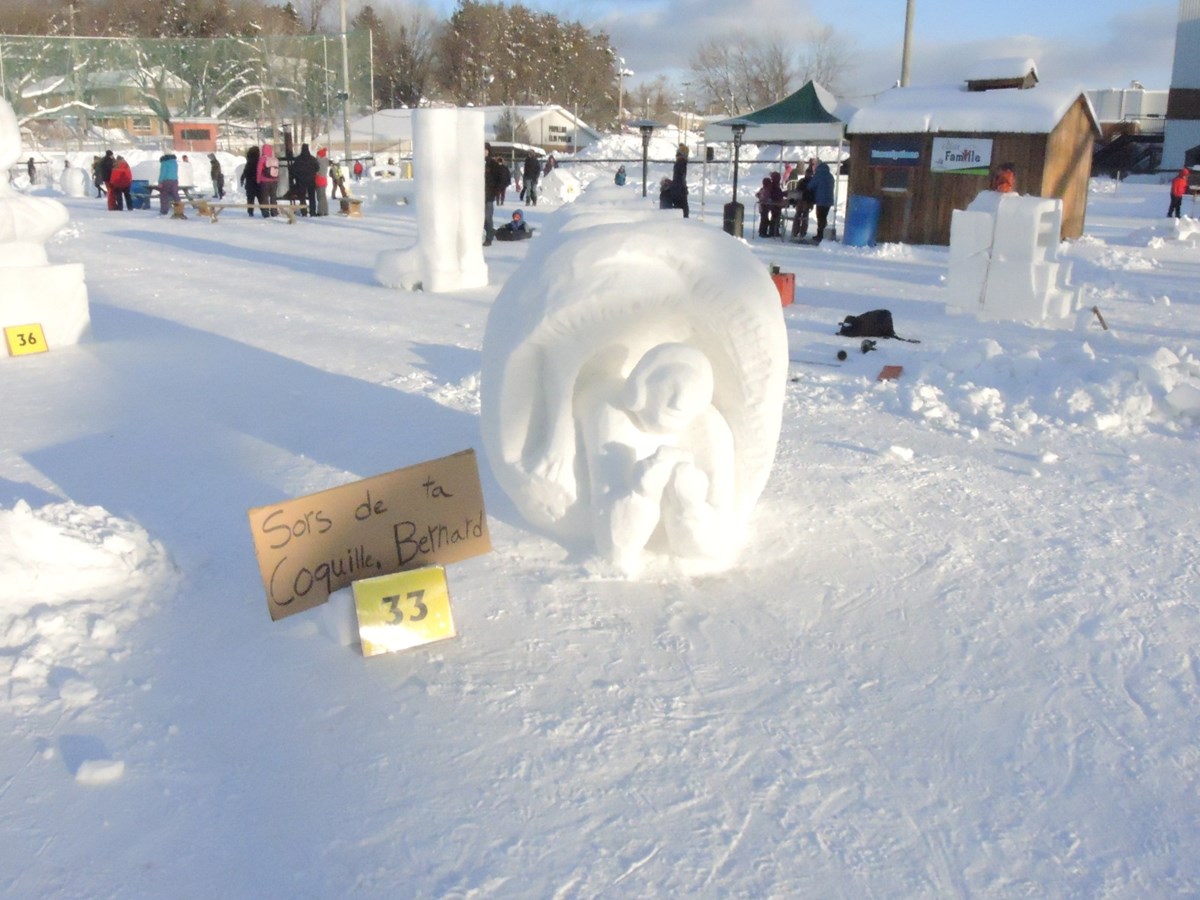 Le froid glacial n'a pas eu raison de l'élan créatif des sculpteurs