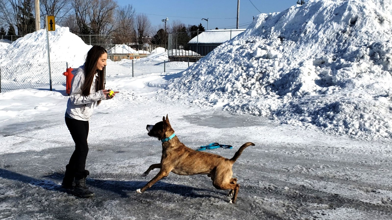 Buddy et Katherine : un duo qui s'est mutuellement sauvé