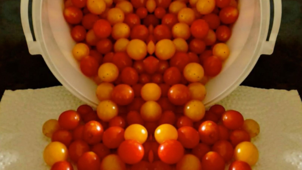 Galerie 2 : des potagers photogéniques!