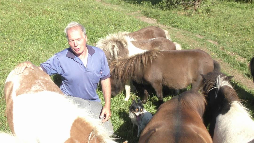Normand DeLessard présente Guymont Labbé et sa passion pour les chevaux miniature