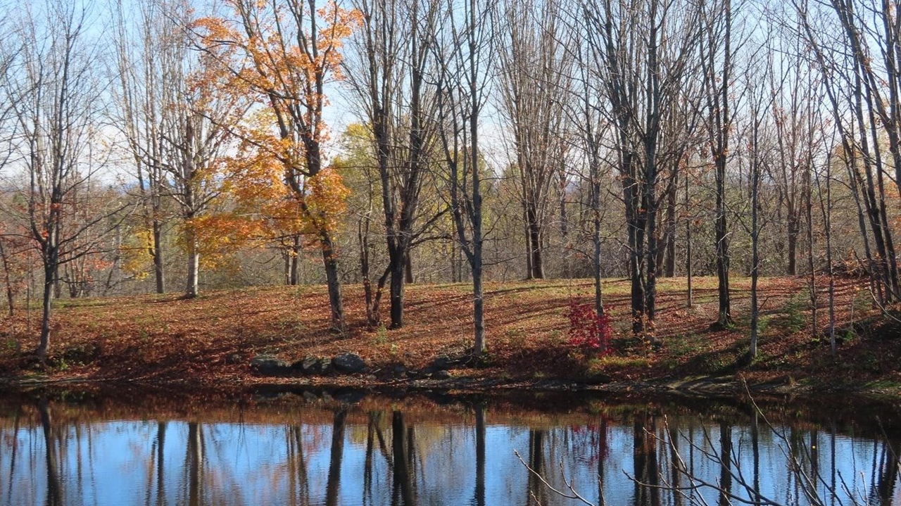 Captez-nous en photos la belle saison des couleurs — GALERIE 9