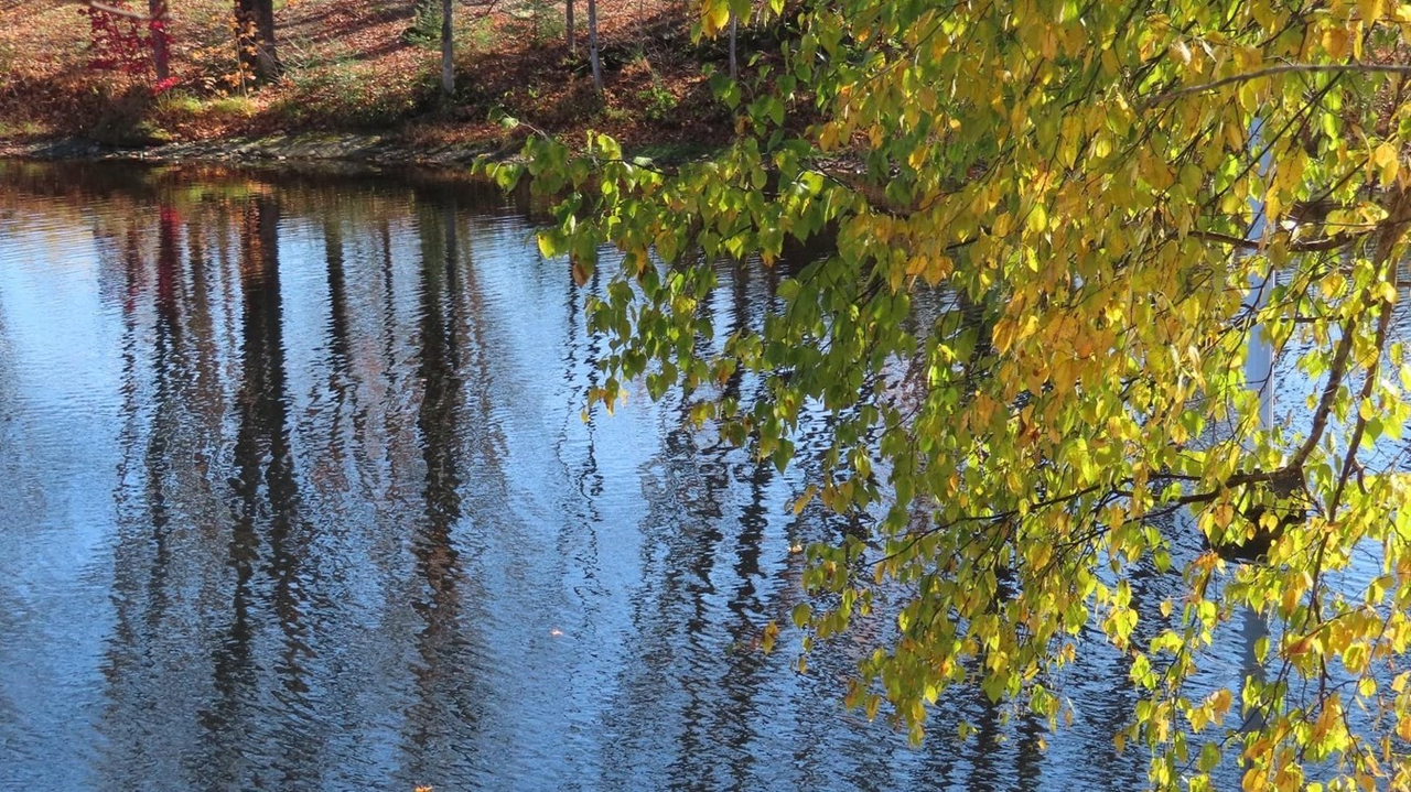 Captez-nous en photos la belle saison des couleurs — GALERIE 9