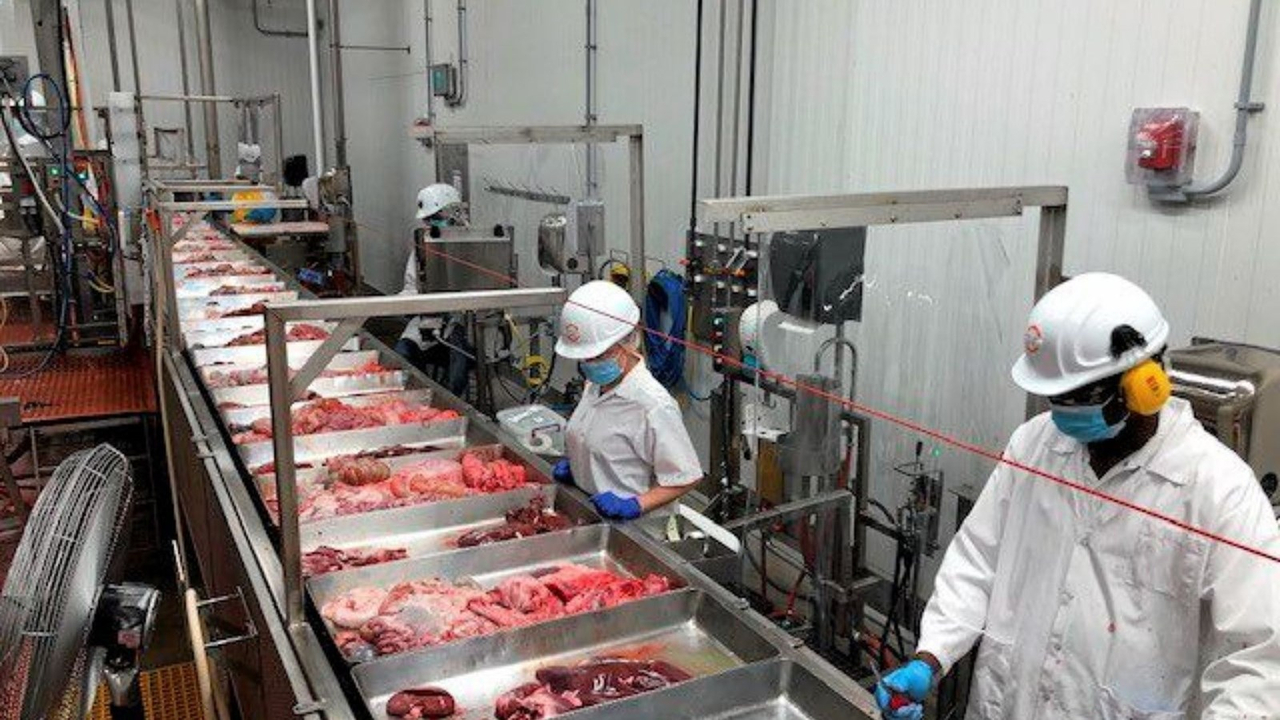 Usine Olymel: 40 cas positifs de COVID-19 confirmés officiellement... pour l'instant