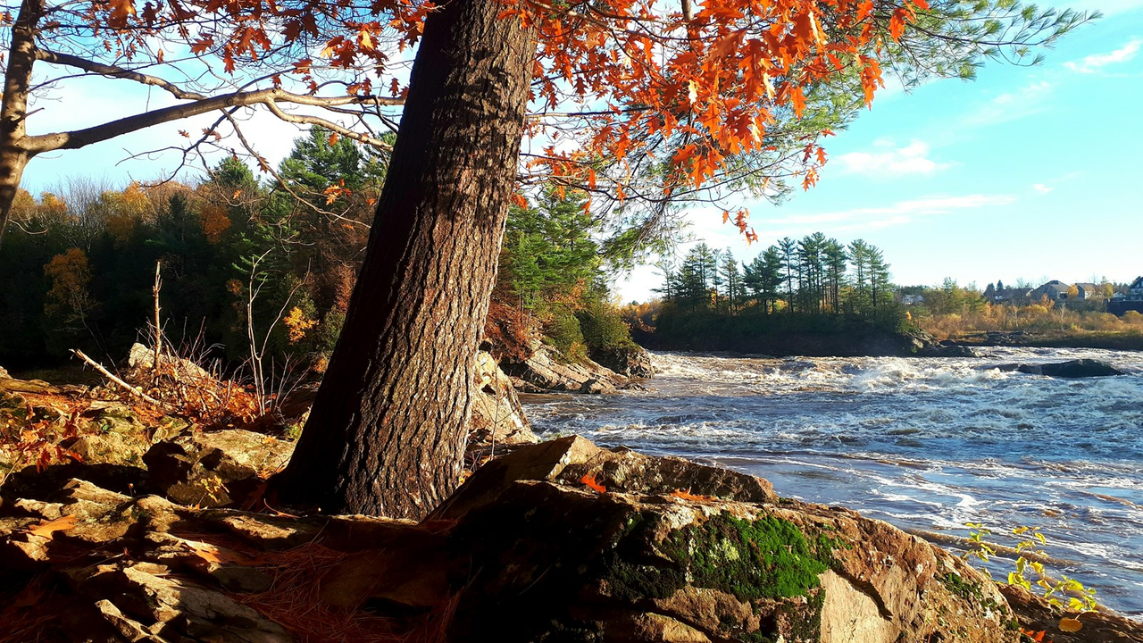Saint-Lambert-de-Lauzon : Les gagnants du concours photos dévoilés