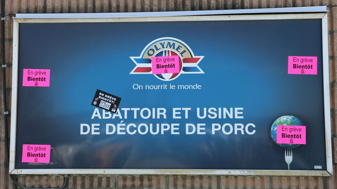 Grève chez Olymel: aucun respect pour les travailleurs, juge le syndicat
