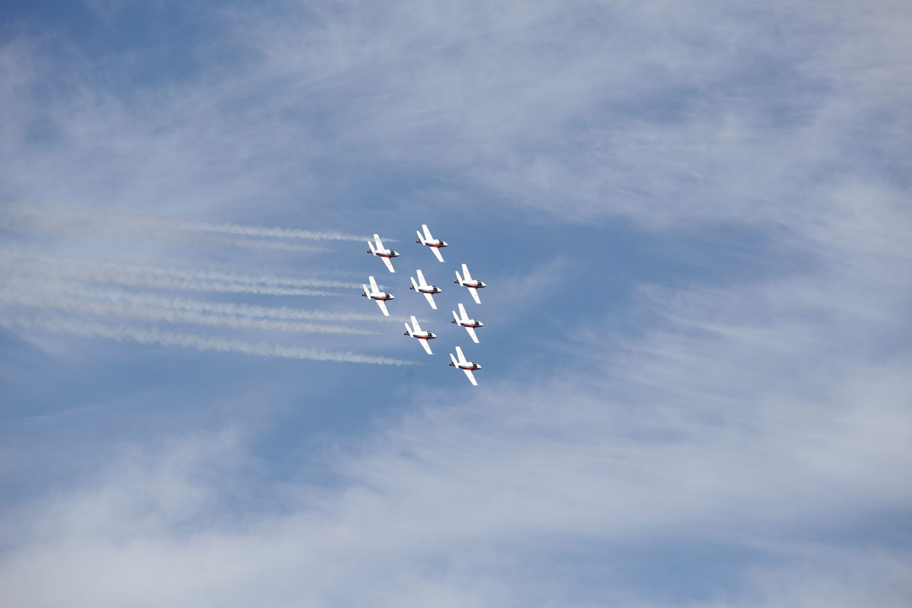Les Snowbirds