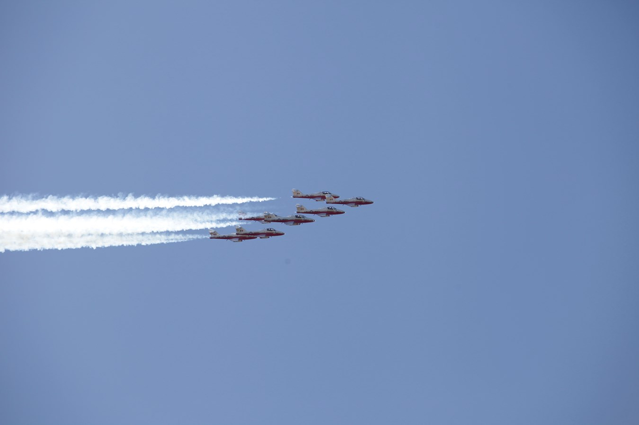 Les Snowbirds