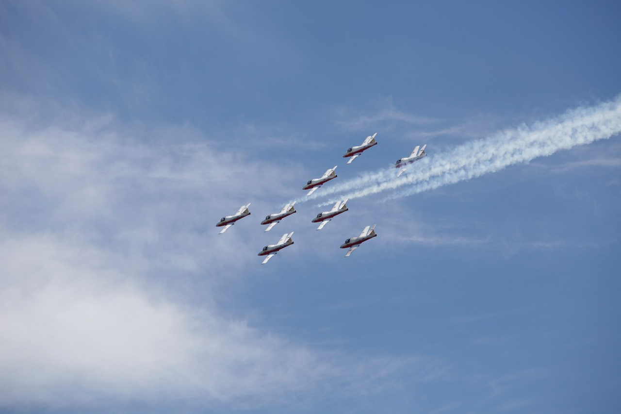 Les Snowbirds