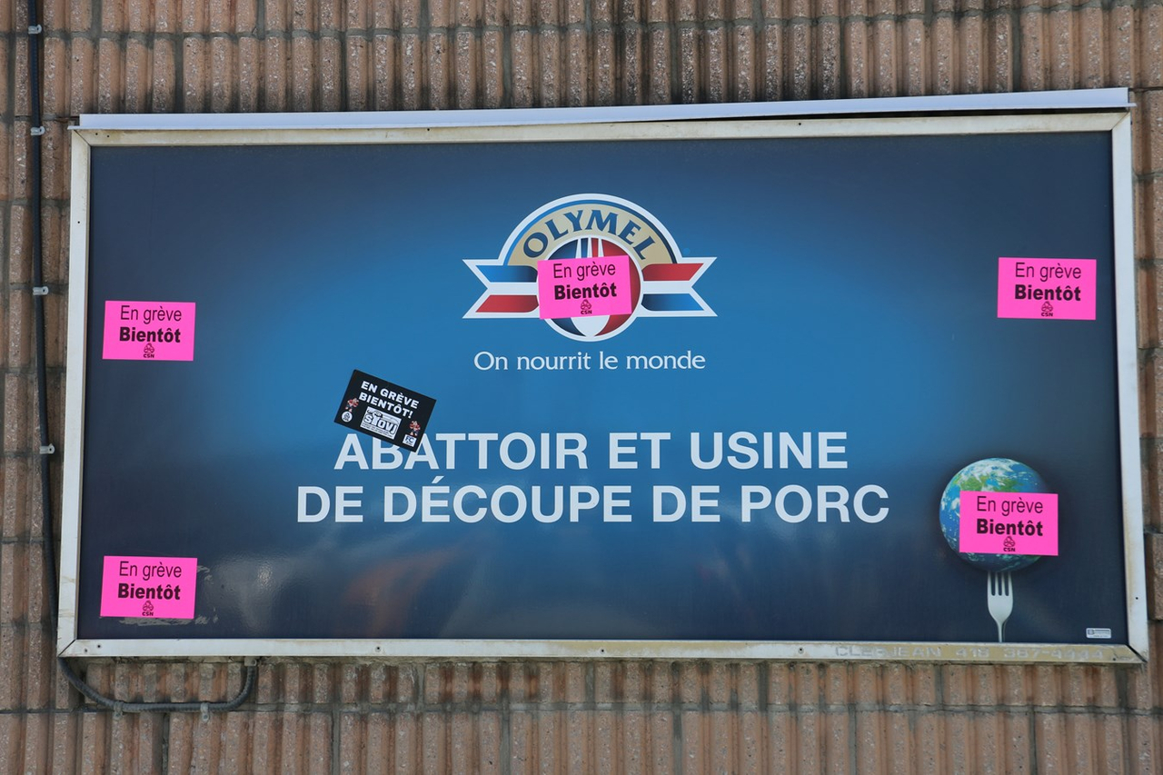 Reprise des négociations les 12 et 13 juillet chez Olymel