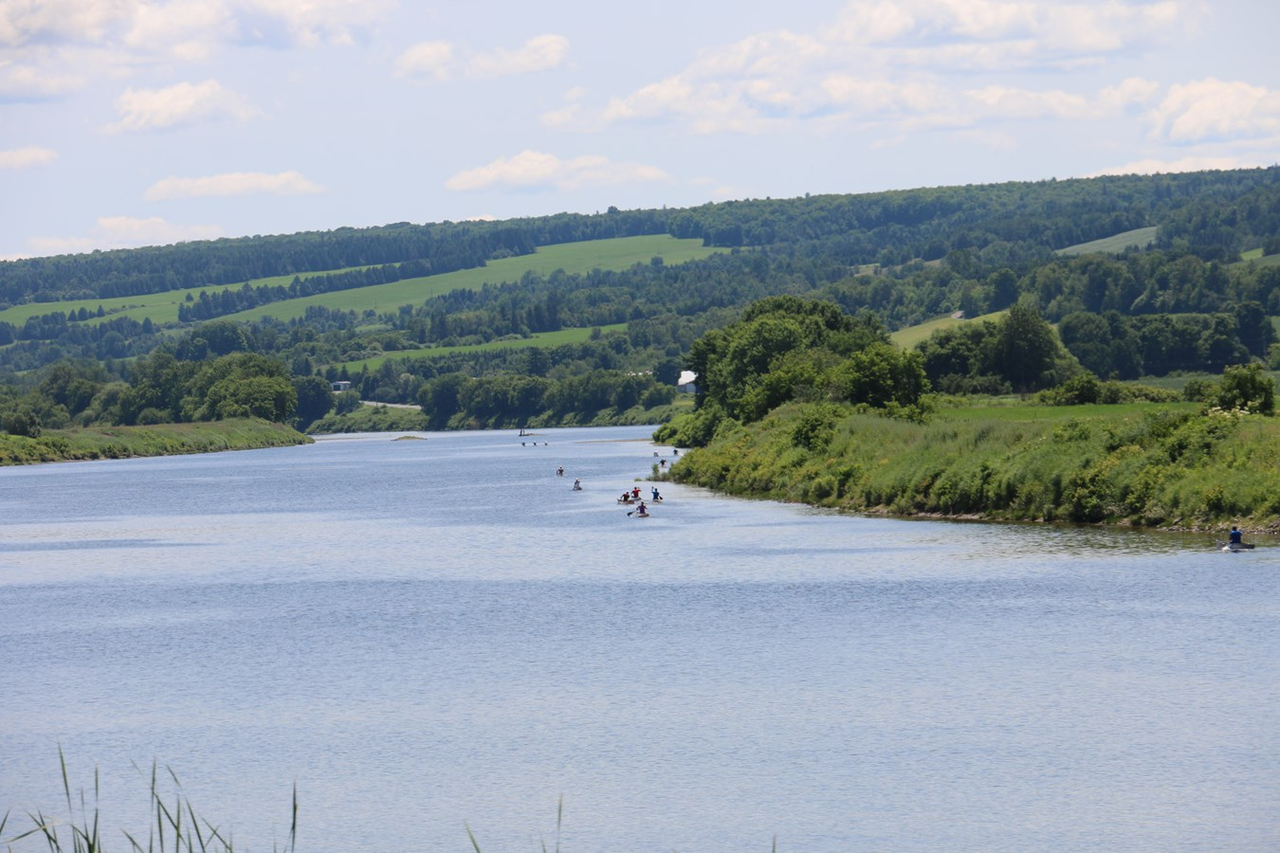 Découvrez en images la course de canot présentée à Vallée-Jonction