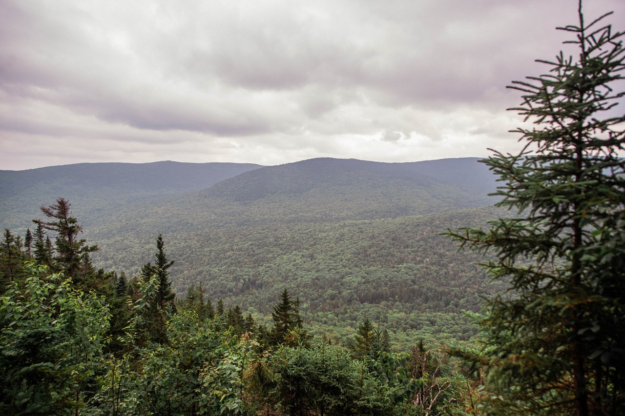 Parc régional du Massif du Sud