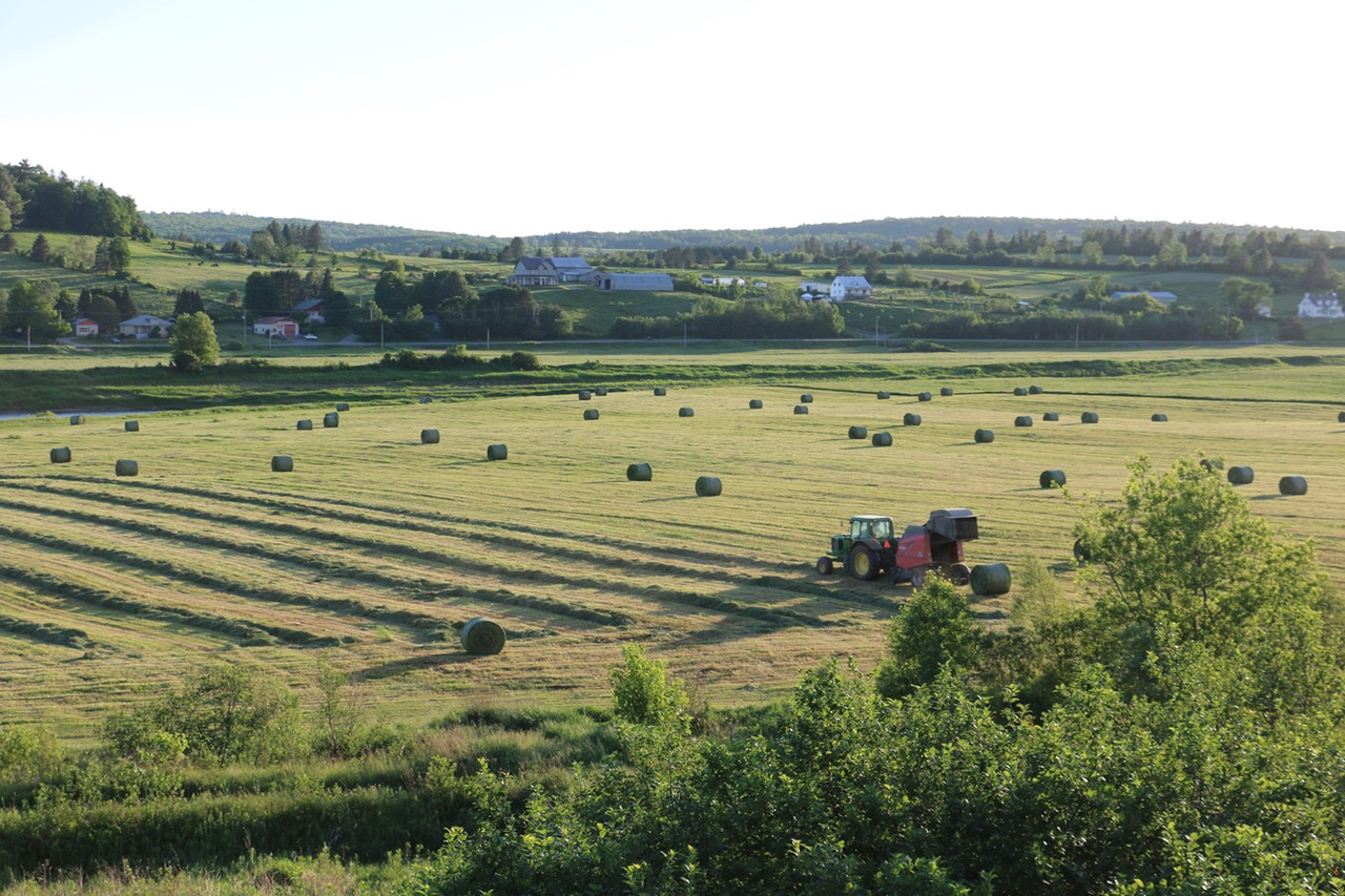 Agriculteur de Beauceville pressant des balles rondes un mercredi soir.