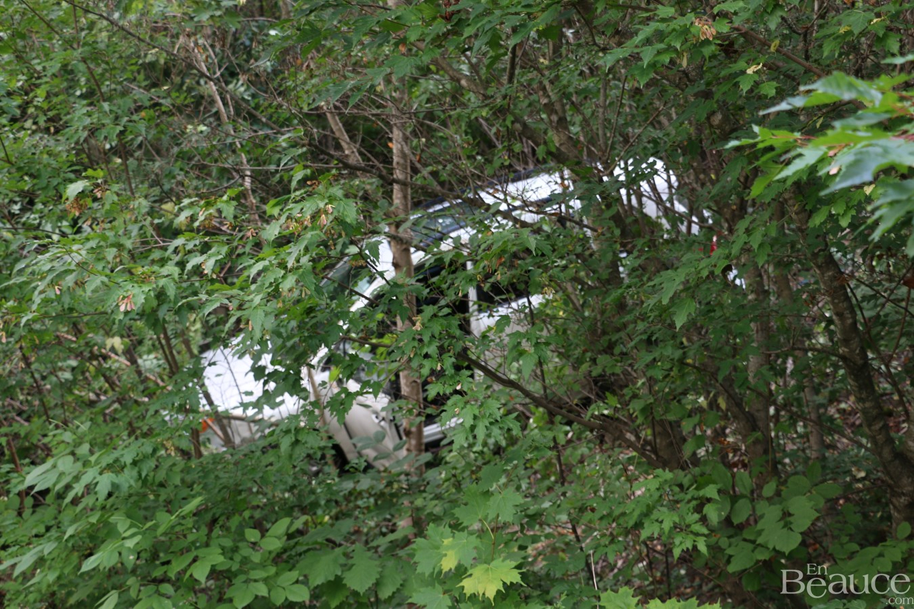 Une conductrice termine sa route dans des arbres