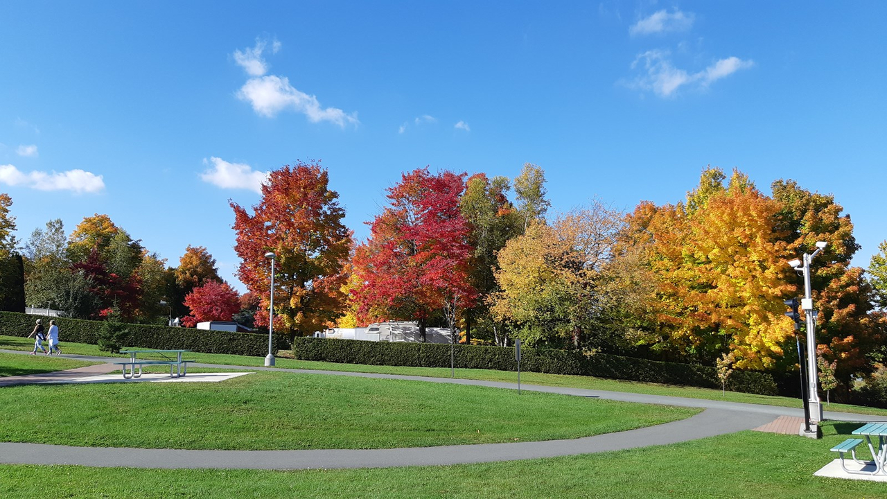 Photorama 4 : l'automne tout en couleur !