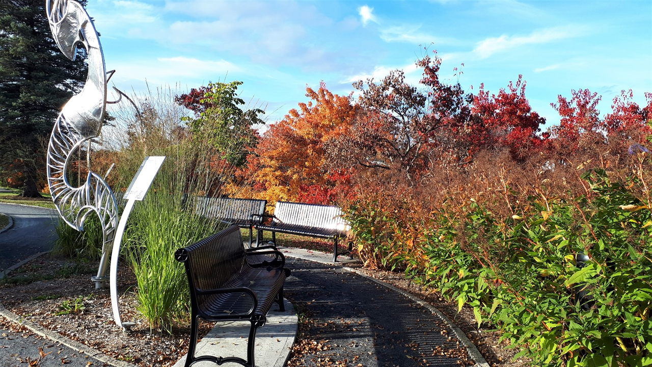 Photorama 4 : l'automne tout en couleur !