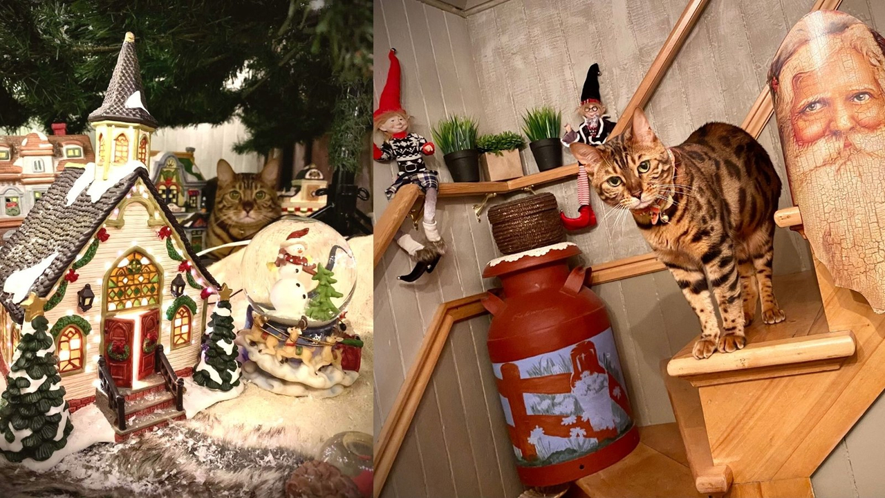 Photorama 1 : la féérie de Noël par les Beaucerons