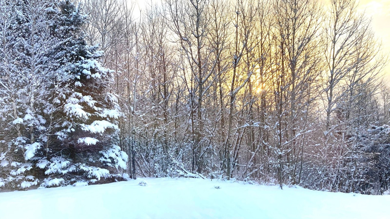 Galerie 2 : l'hiver beauceron