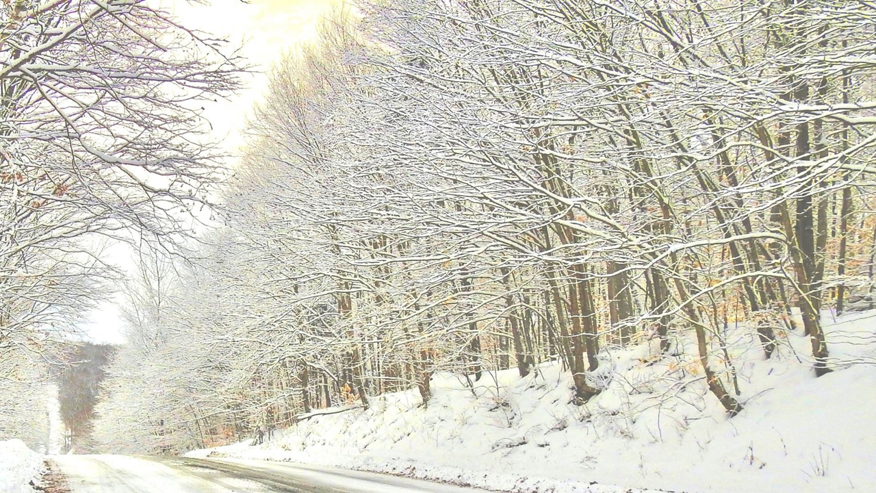 Galerie 2 : l'hiver beauceron