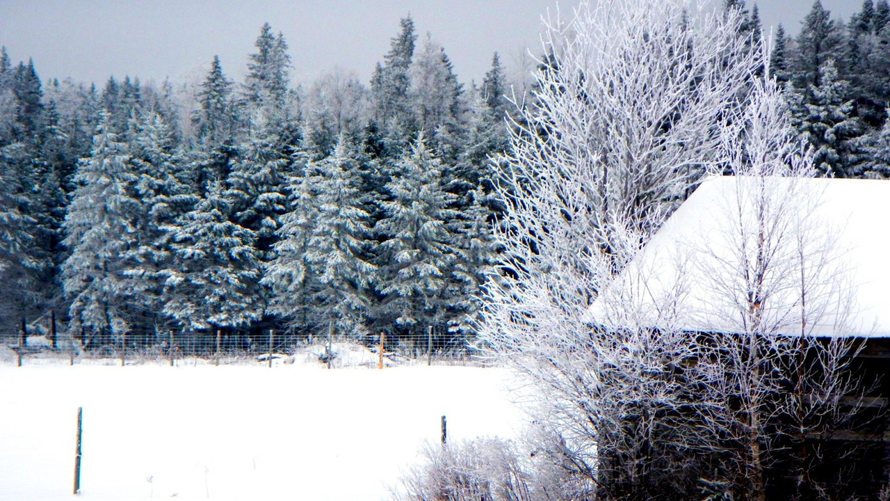 Galerie 8 : l'hiver beauceron