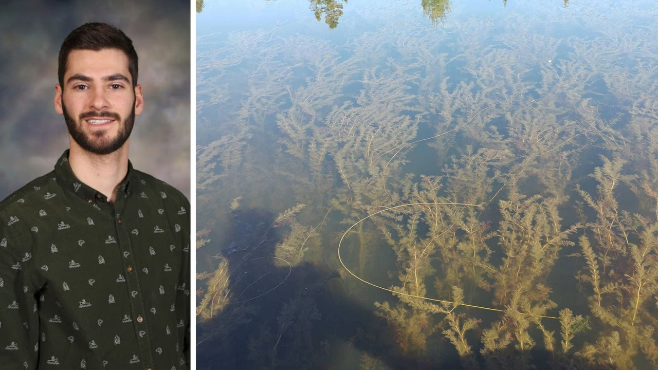 Vincent Gagné se bat contre les plantes envahissantes dans les lacs