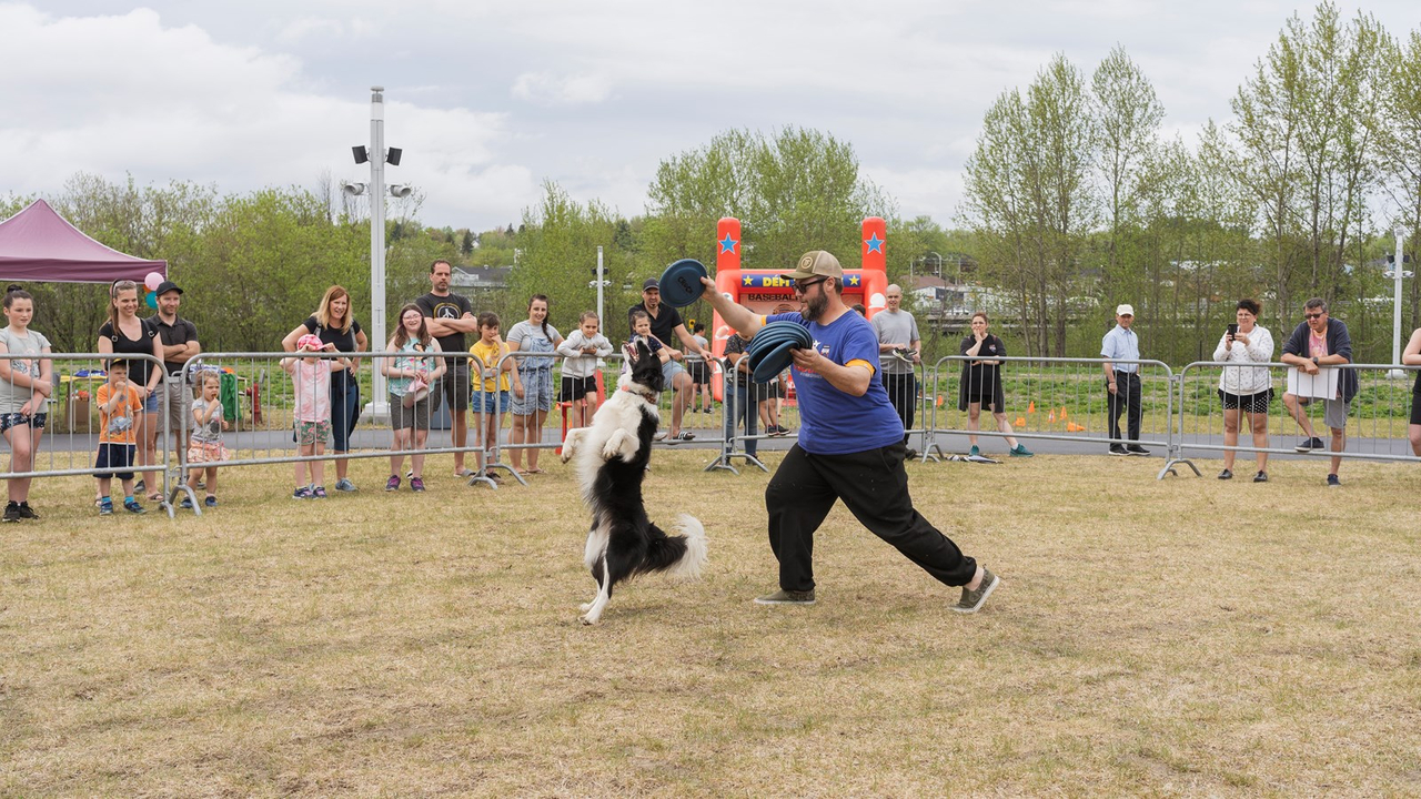 Les Georgiens étaient nombreux pour la Grande fête familiale