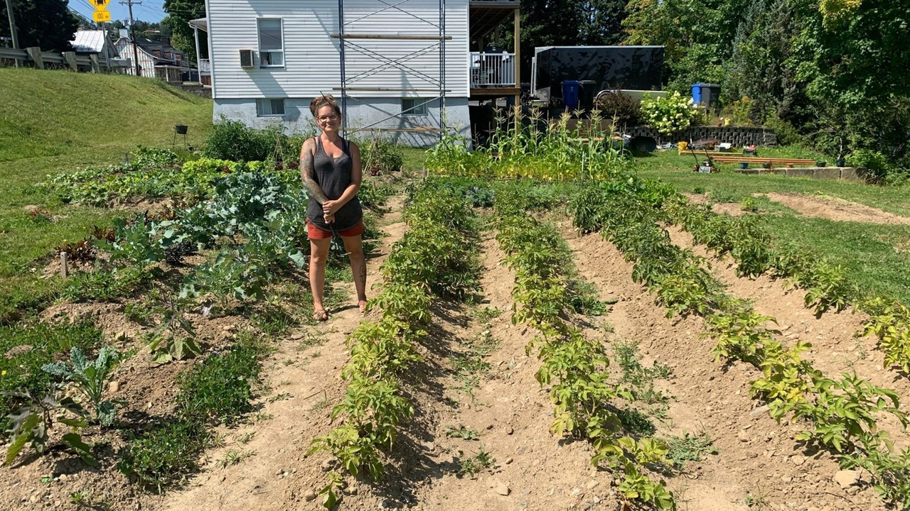 Beauceville récidive avec son projet d’adoption de terrains vacants
