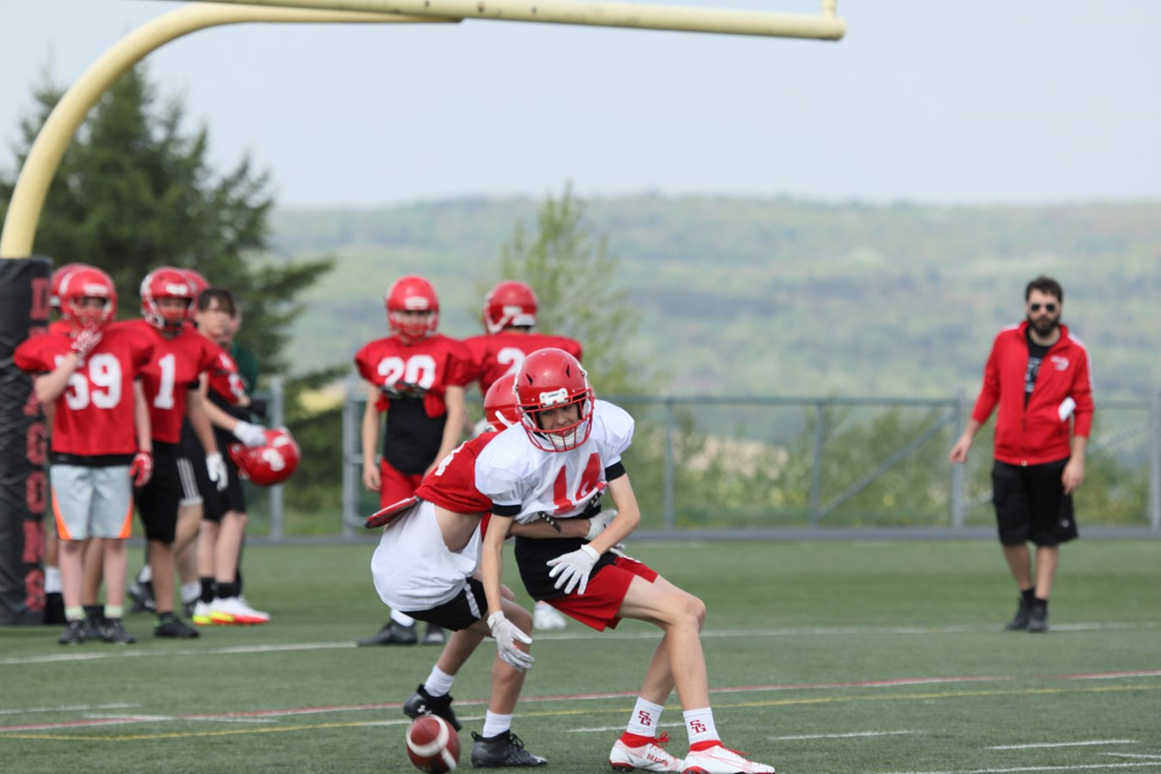 Football: des attentes élevées pour la saison à venir des Dragons