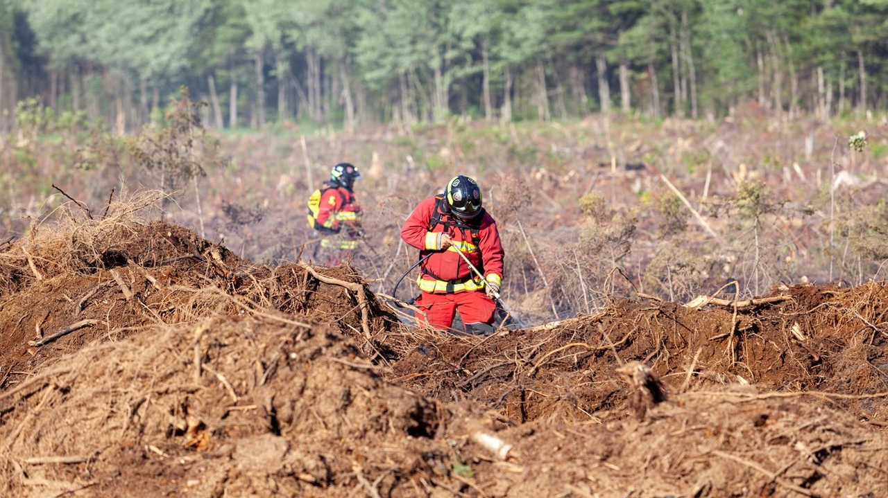 Feu de Broussaille Saint-Lambert-de-Lauzon