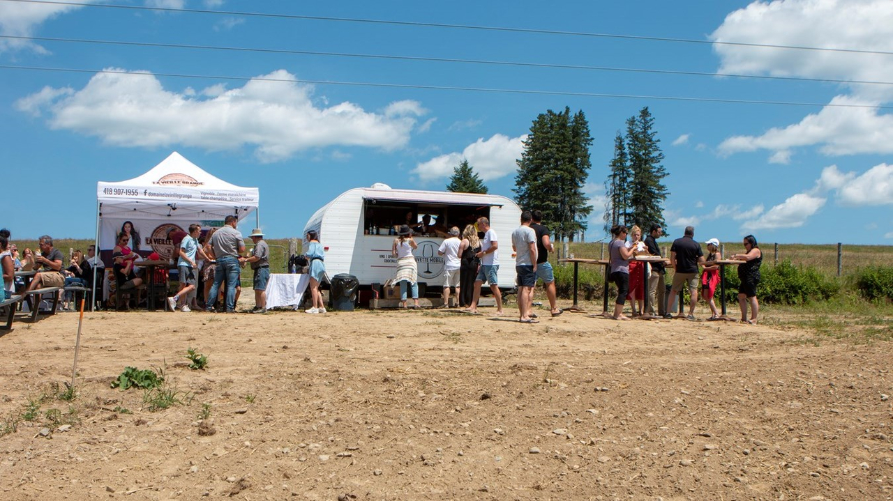 Le Domaine La Vieille Grange plante ses premières vignes
