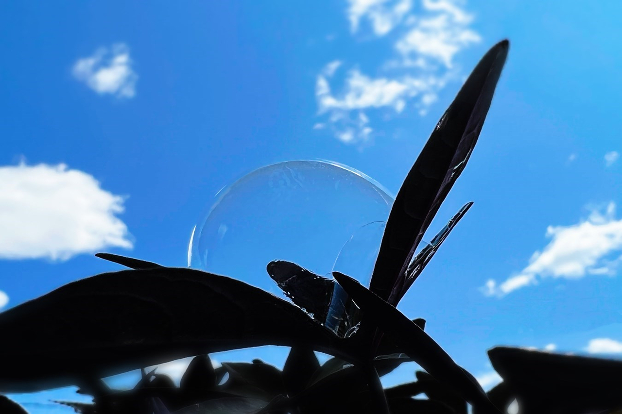 Galerie 1: le ciel en vedette