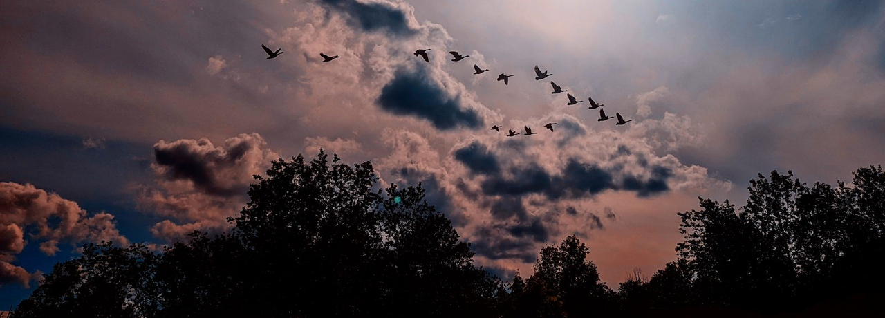 Galerie 4: le ciel en vedette