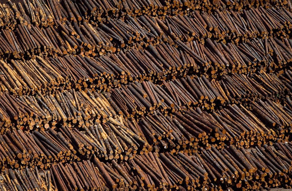 Ottawa conteste officiellement les tarifs douaniers américains sur le bois d'œuvre
