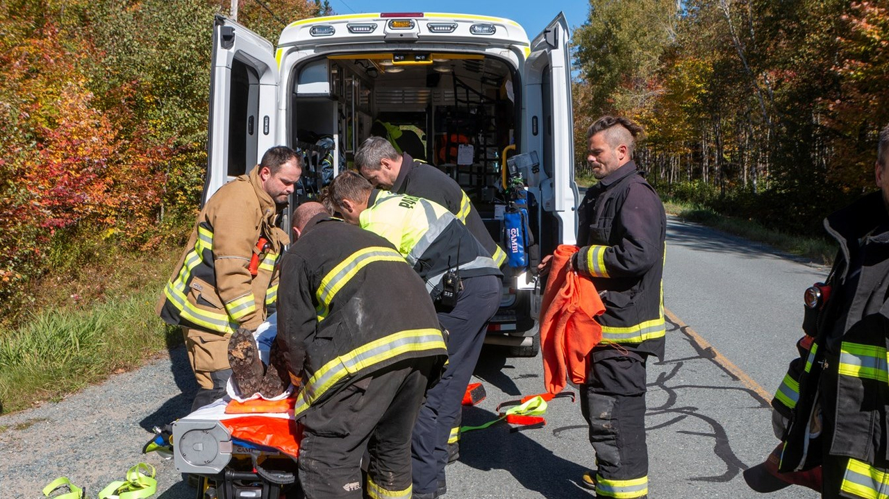 Un homme légèrement blessé après avoir reçu un arbre sur la tête