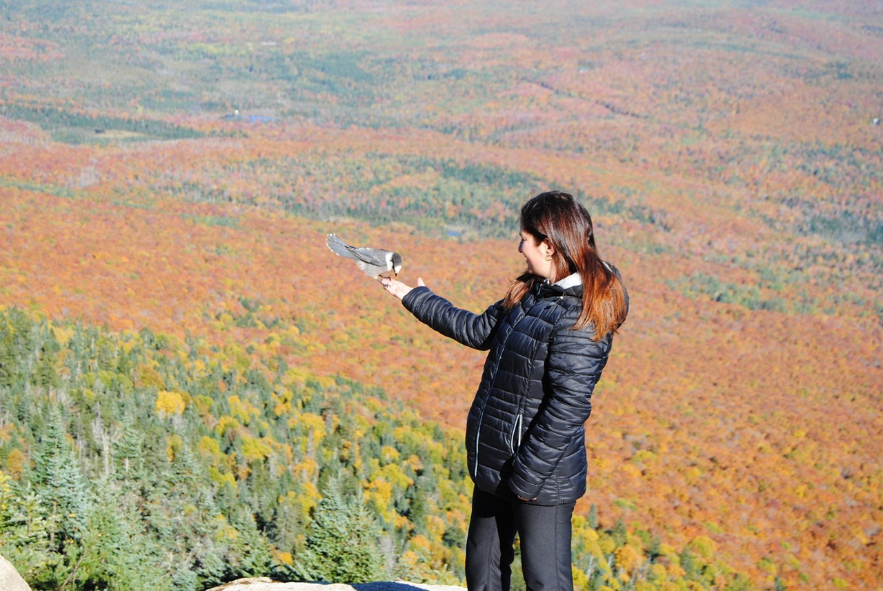 Mont Saint-Joseph