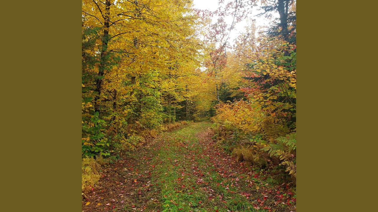 Saint-Joseph-de-Beauce