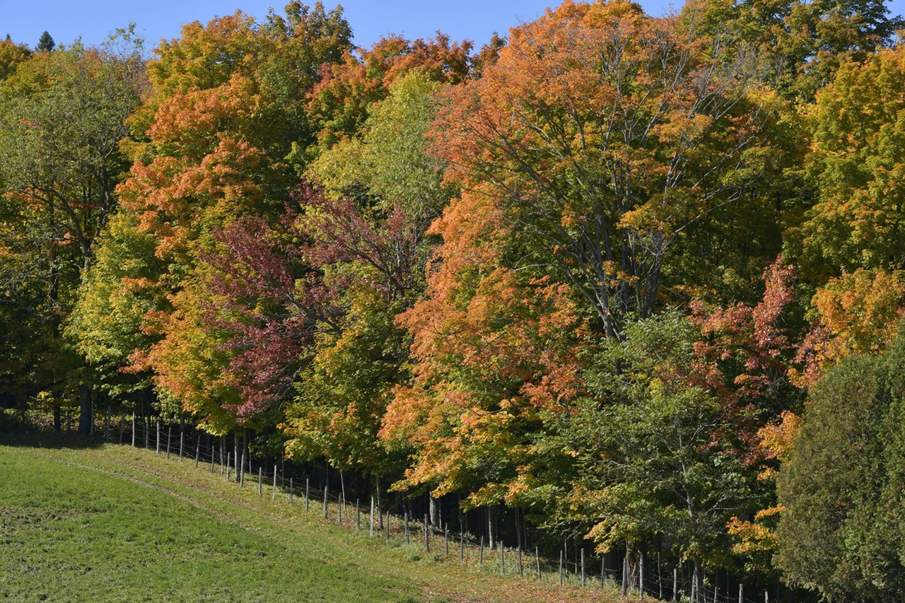 Dernière galerie: la Beauce en couleurs