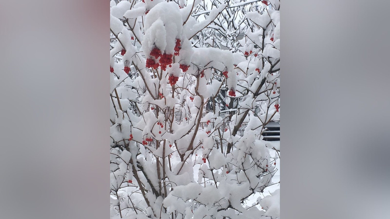 Galerie 1 : vos paysages hivernaux