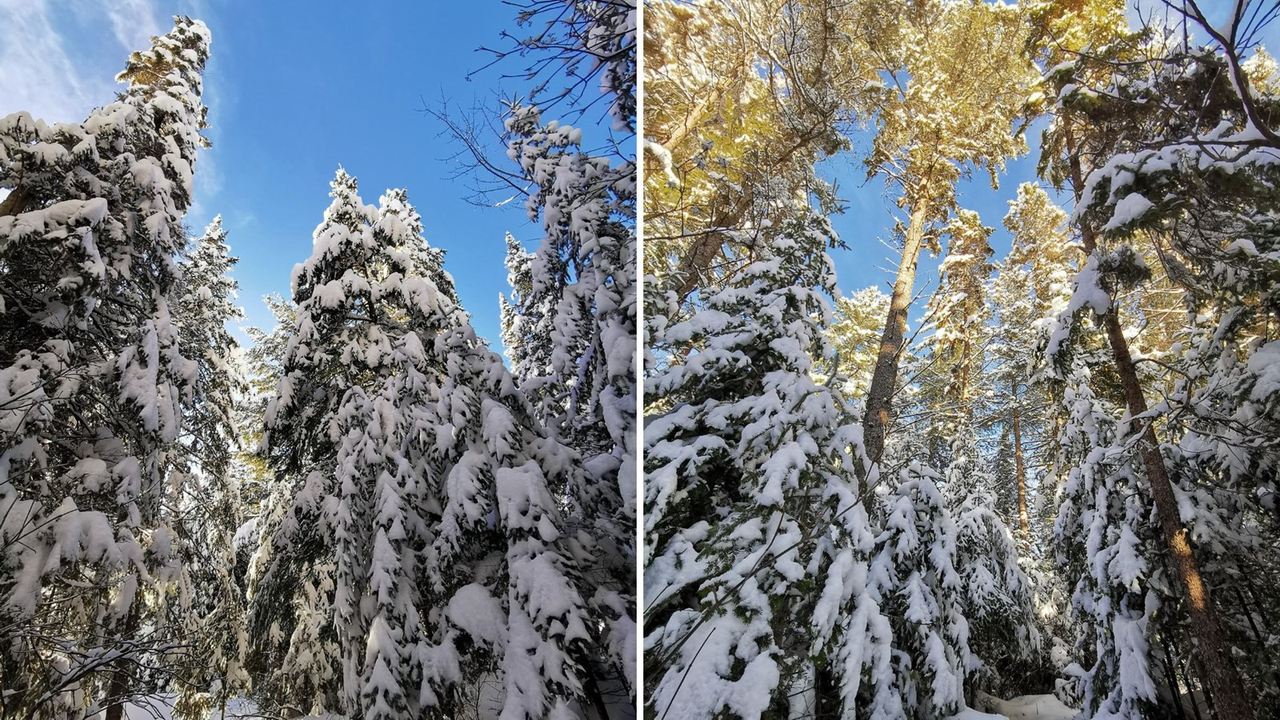 Galerie 1 : vos paysages hivernaux