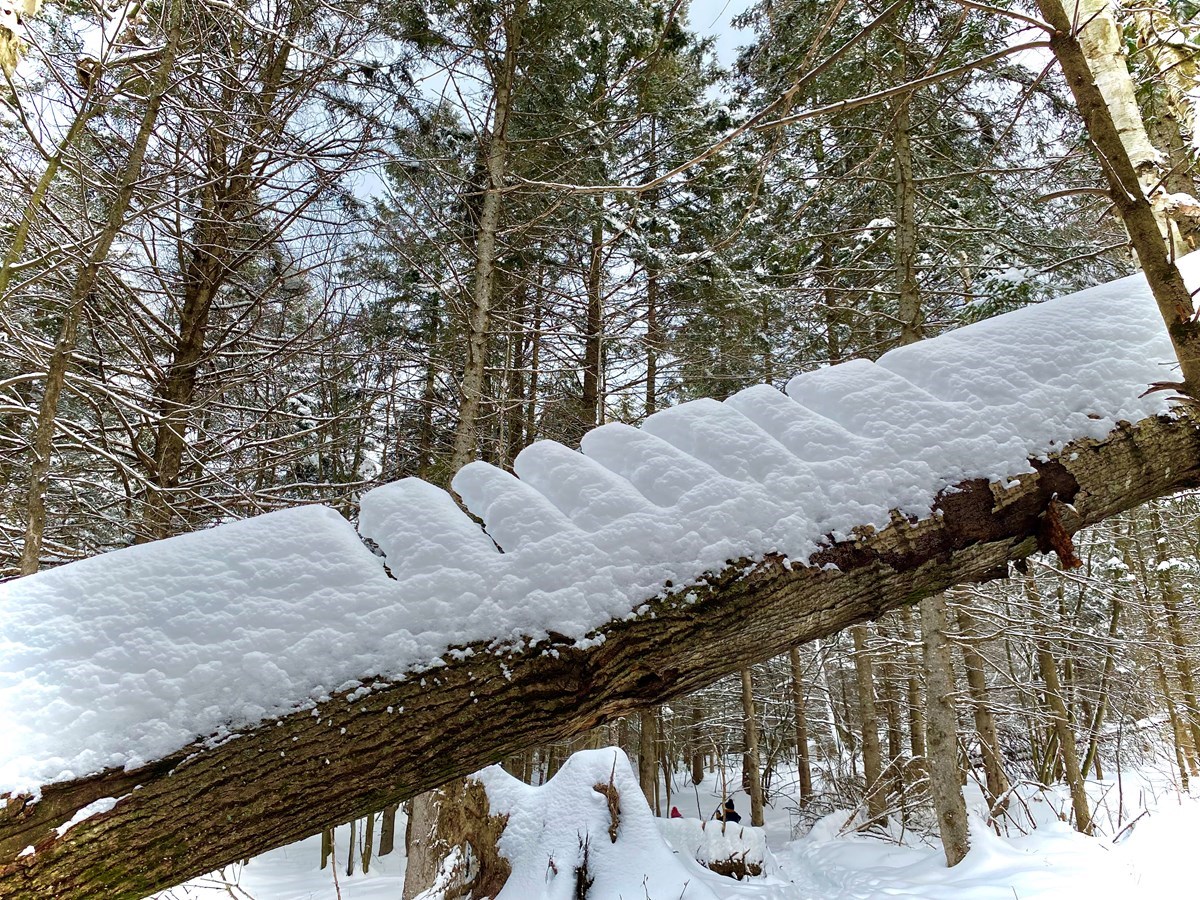 Galerie 2 : vos paysages hivernaux