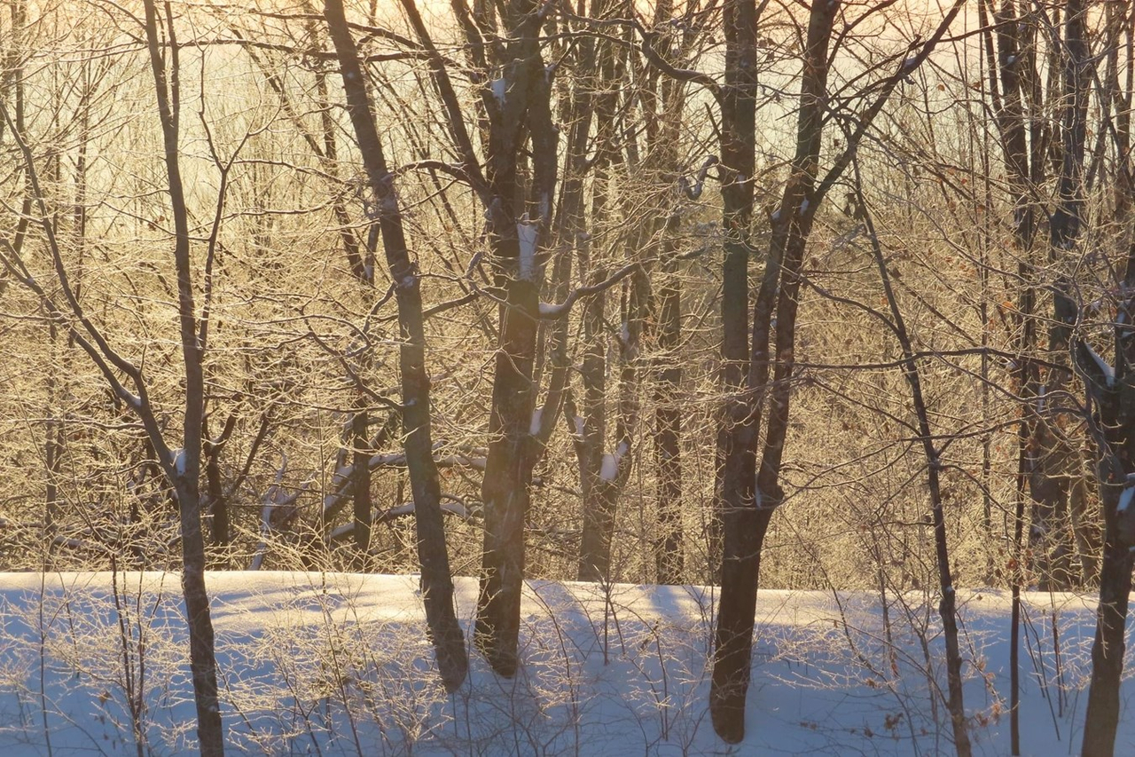 Galerie 2 : vos paysages hivernaux