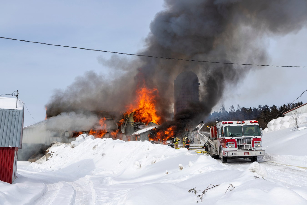 Incendie agricole Saint-Georges : 70 bêtes ont péri