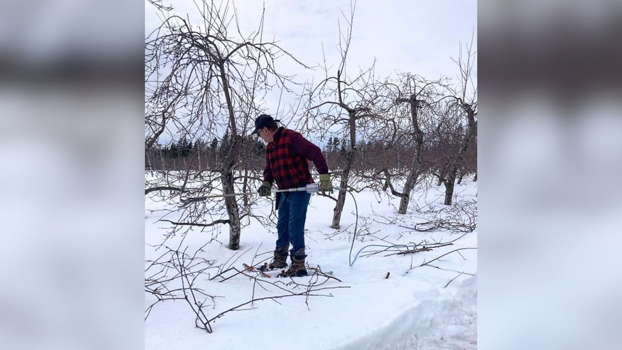 Une conférence pour tout savoir sur la taille des arbres fruitiers