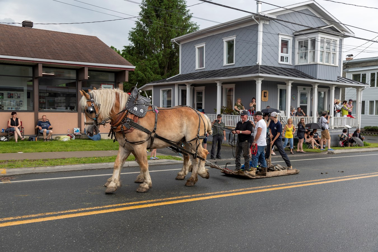 La parade de Saint-Honoré-de-Shenley en photos et en vidéo