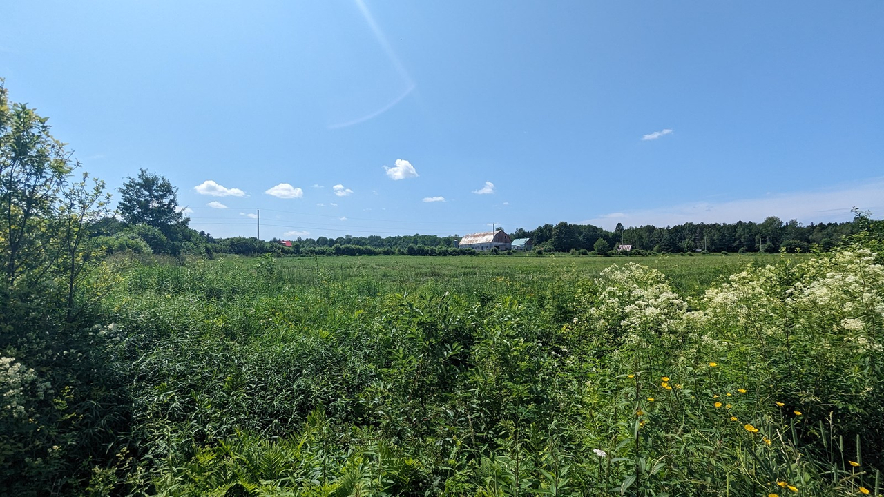 Galerie 1: la Beauce en été
