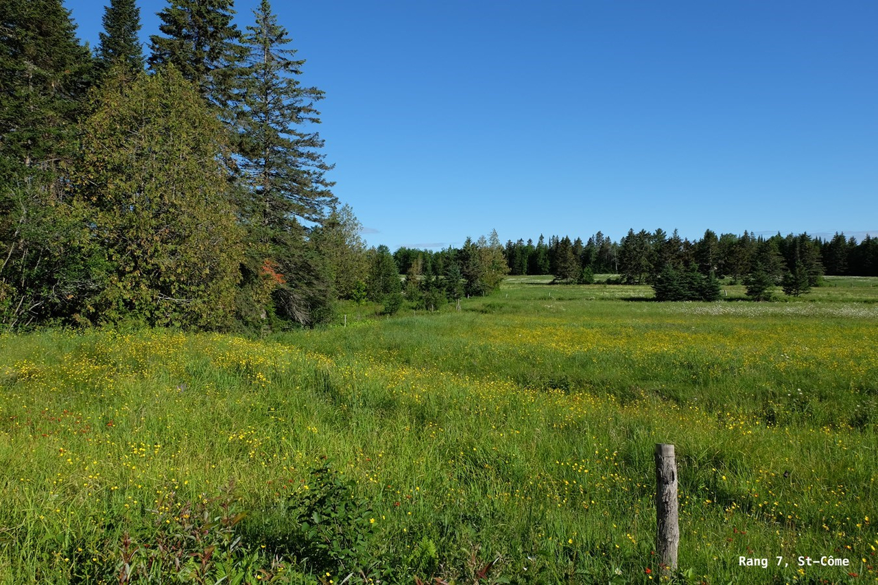 Galerie 3: la Beauce en été