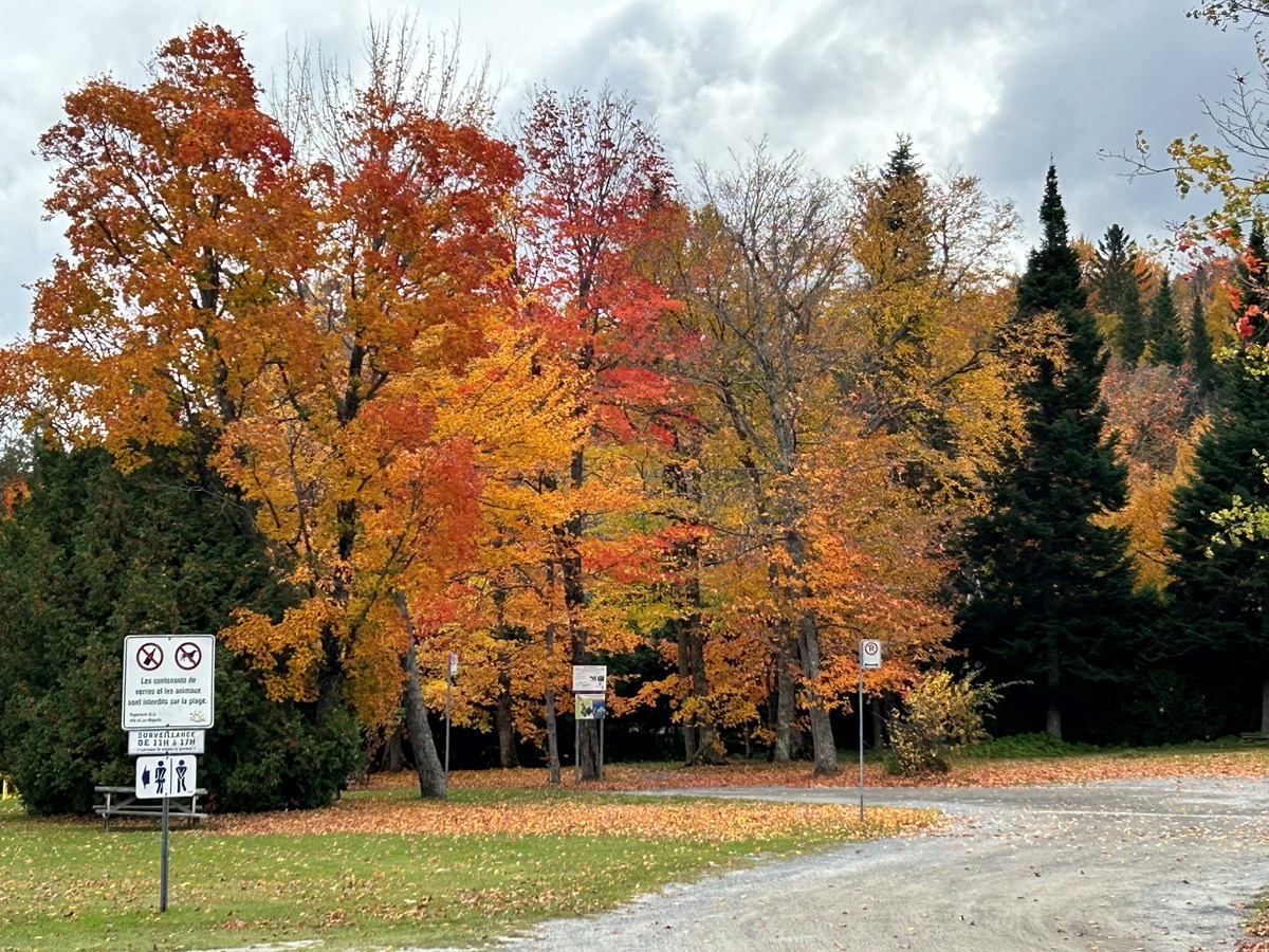 Galerie 1: l'automne aux mille couleurs