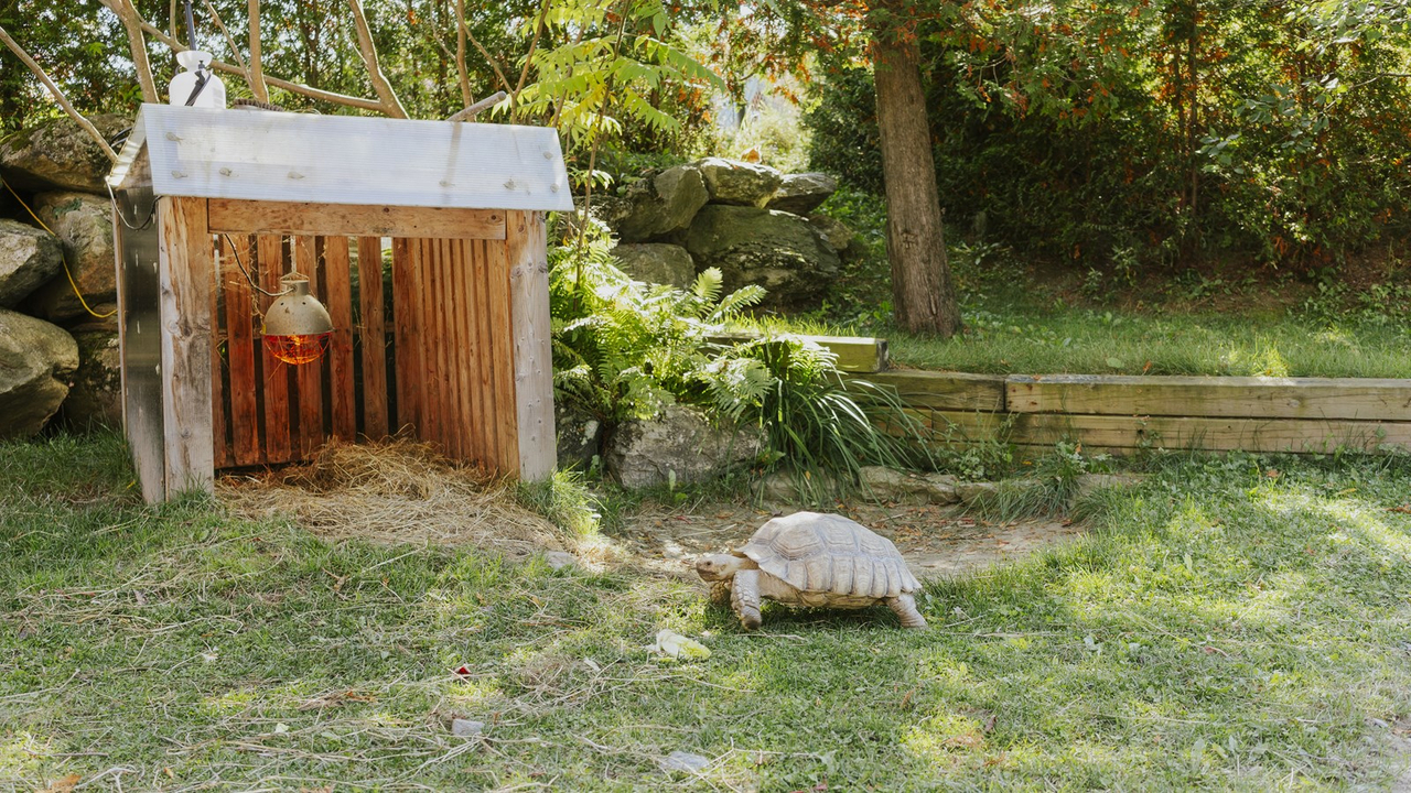 Courte promenade au Miller Zoo en images